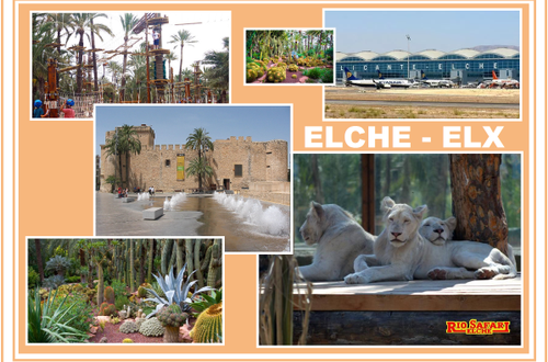 elche