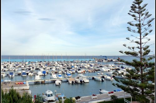 marina torre de la horadada