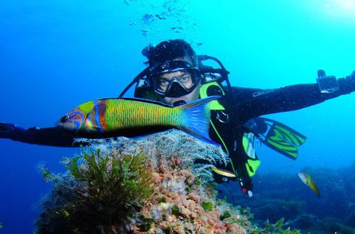 een paradijs voor snorkel- en duikliefhebbers