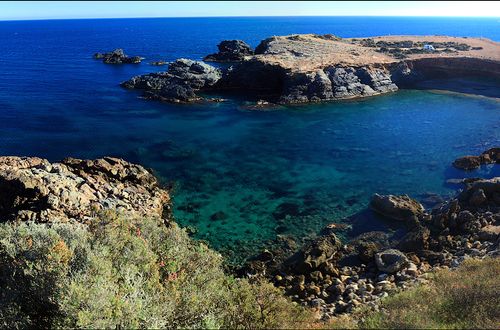 baai