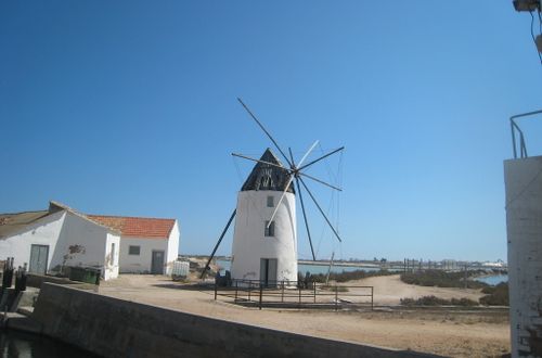 molinos